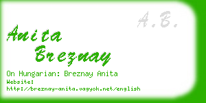 anita breznay business card